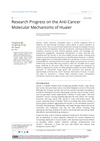 Research Progress on the Anti-Cancer Molecular Mechanisms of Huaier